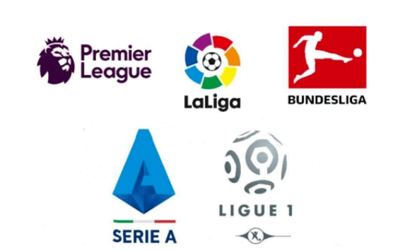 仅关注身体 仅关注身体